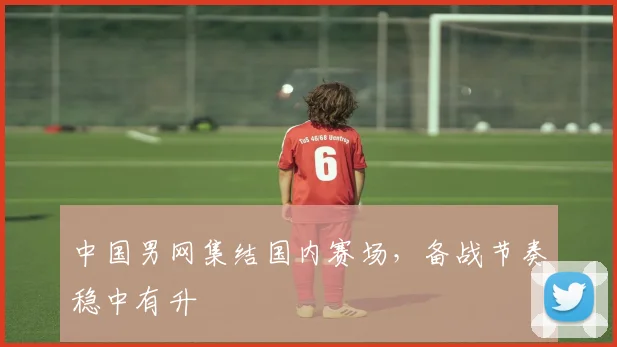 中国男网集结国内赛场，备战节奏稳中有升